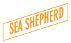 sea shepherd